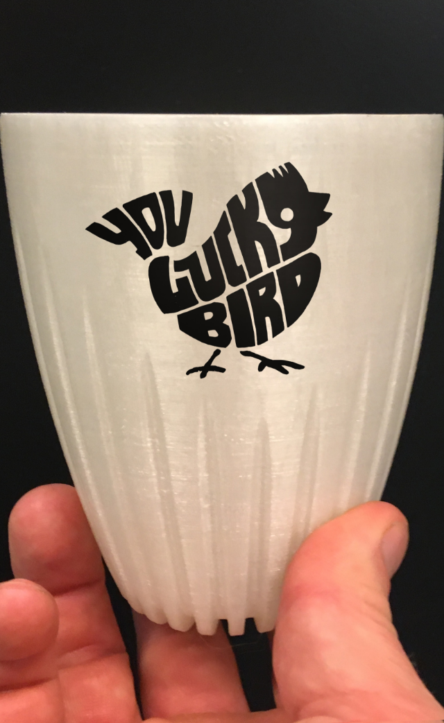 You Lucky Bird // The Green Surfer